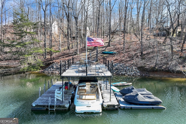 dock area with a water view