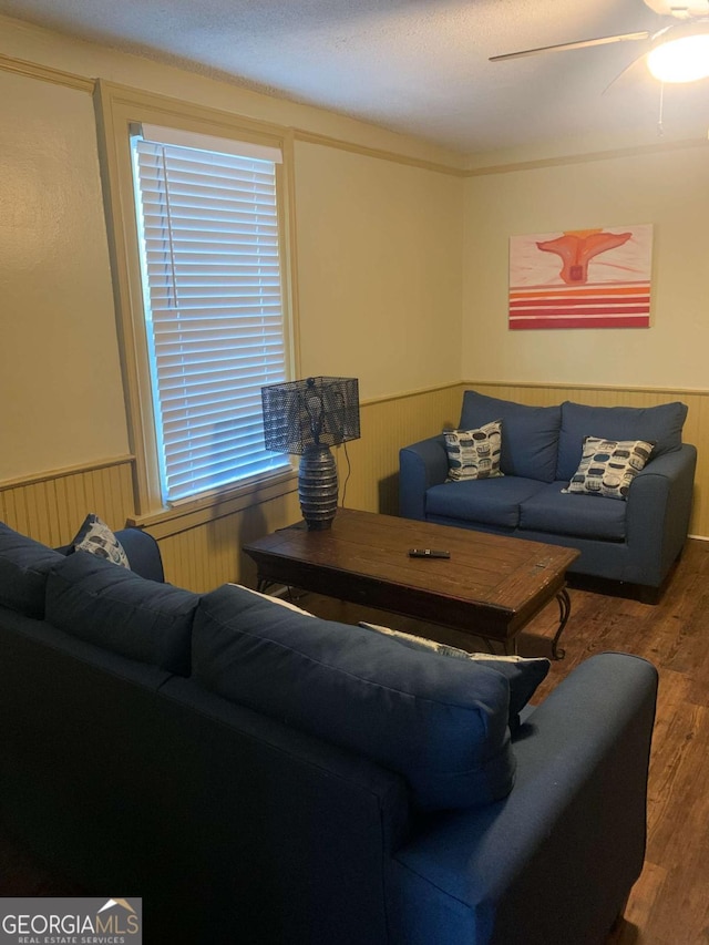 1102 Phillips St, Augusta, GA 30901 - living room featuring ceiling fan and dark hardwood / wood-style flooring