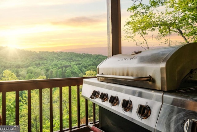 273 Deer Crest Hts, Blue Ridge, GA 30513 - view of details