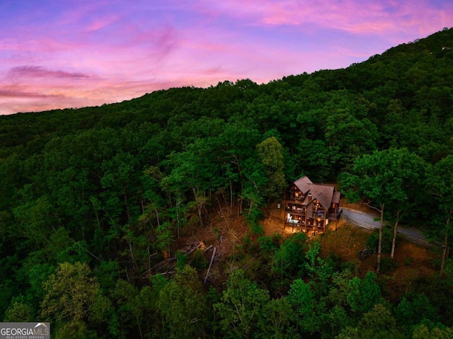 273 Deer Crest Hts, Blue Ridge, GA 30513 - view of mountain feature