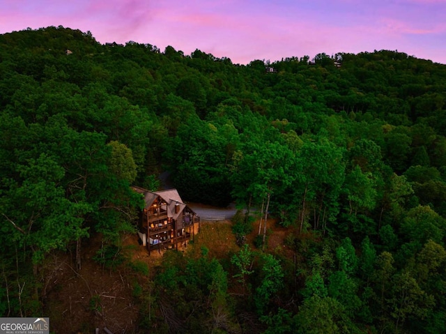 273 Deer Crest Hts, Blue Ridge, GA 30513 - exterior space
