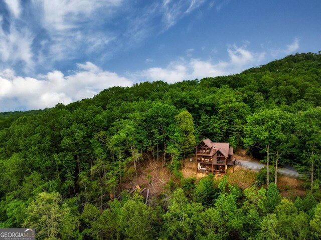273 Deer Crest Hts, Blue Ridge, GA 30513 - aerial view