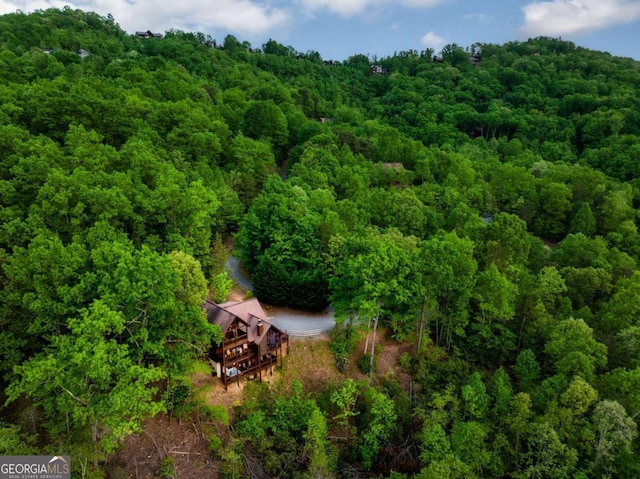 273 Deer Crest Hts, Blue Ridge, GA 30513 - birds eye view of property
