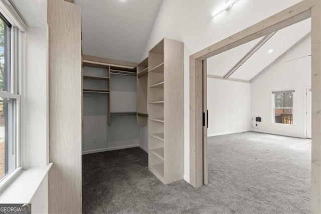 spacious closet featuring carpet floors and vaulted ceiling