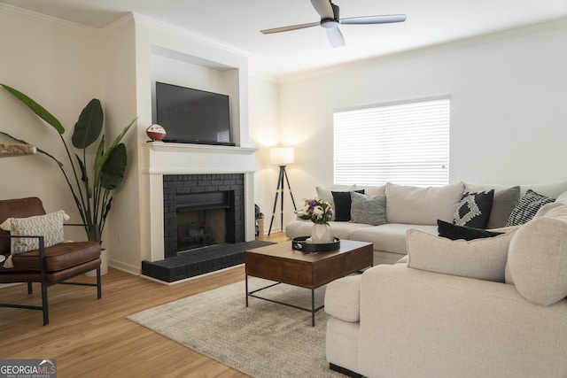 living room featuring a fireplace, ornamental molding, ceiling fan, and light wood-type flooring