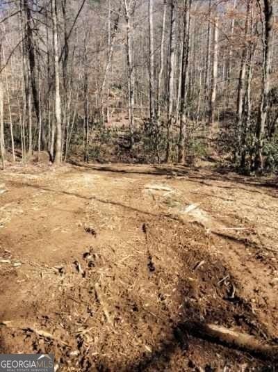 Listing photo 3 for 0 Bryant Creek Rd, Ellijay GA 30540