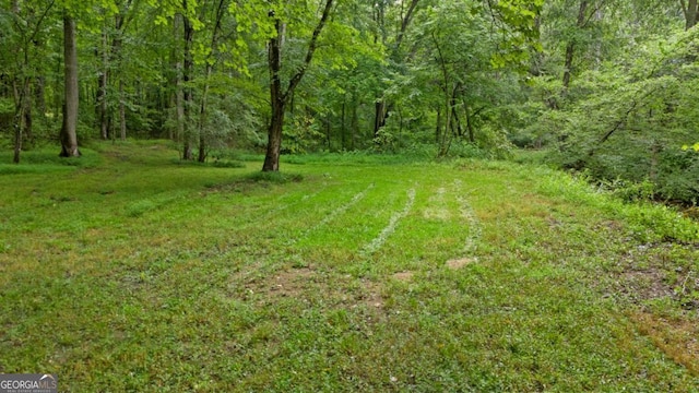 view of local wilderness