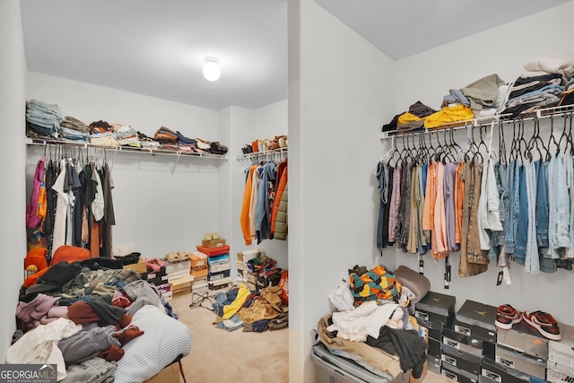 walk in closet with carpet floors