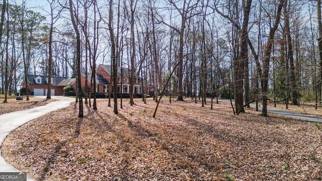 view of yard featuring a garage