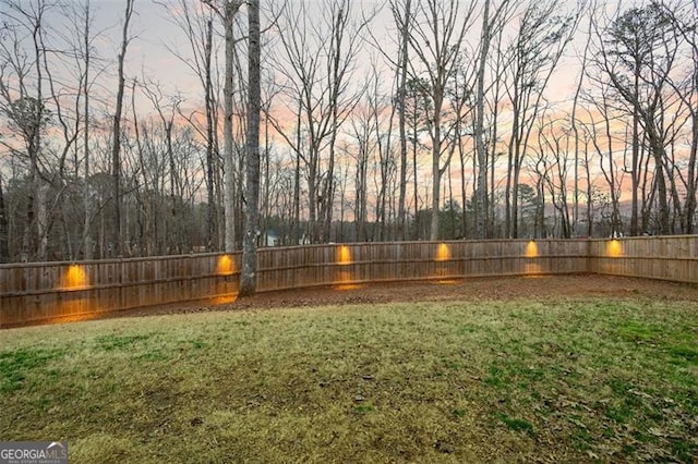 view of yard with a fenced backyard