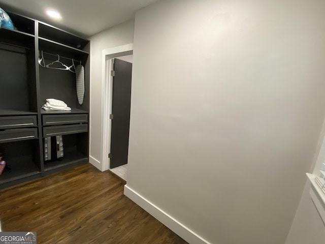 spacious closet with dark wood-type flooring