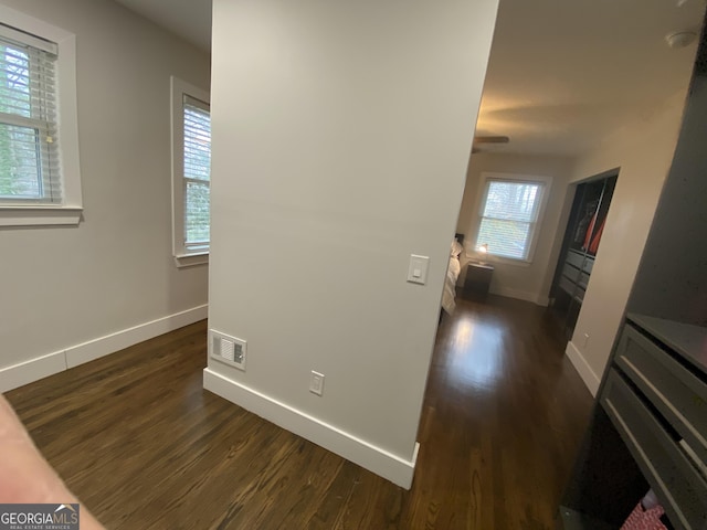 hall featuring dark wood-type flooring