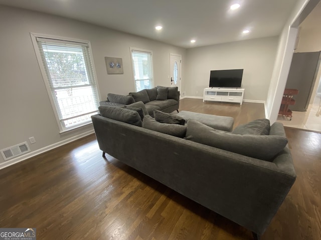 living room featuring dark wood-type flooring