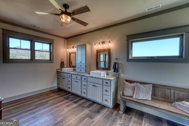 bathroom with hardwood / wood-style flooring, vanity, crown molding, and a wealth of natural light