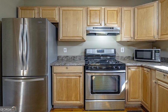 kitchen with appliances with stainless steel finishes and light brown cabinets