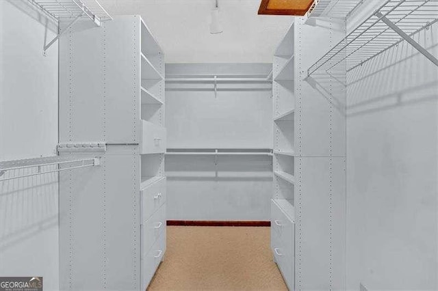 spacious closet featuring light colored carpet