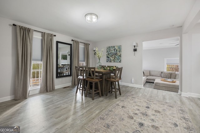 dining room featuring a wealth of natural light and light wood-type flooring