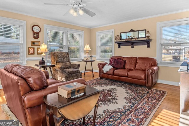 living room with hardwood / wood-style floors, crown molding, a wealth of natural light, and ceiling fan