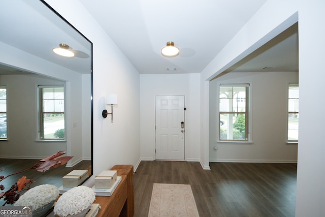 entryway featuring a wealth of natural light, dark wood finished floors, and baseboards