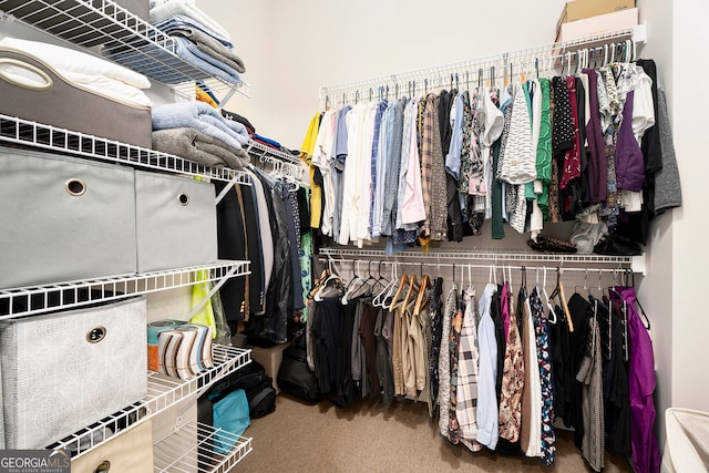 walk in closet featuring carpet floors