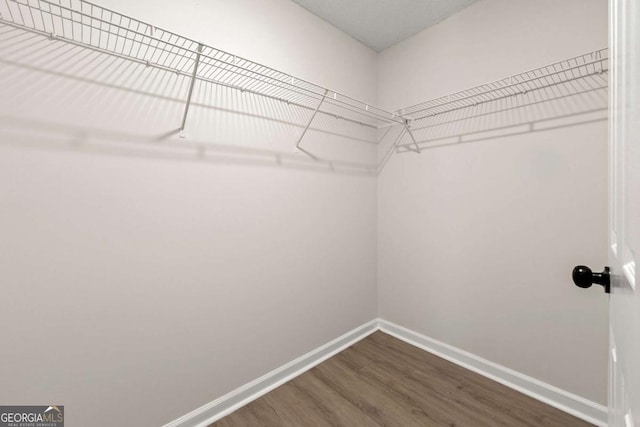 spacious closet featuring hardwood / wood-style flooring