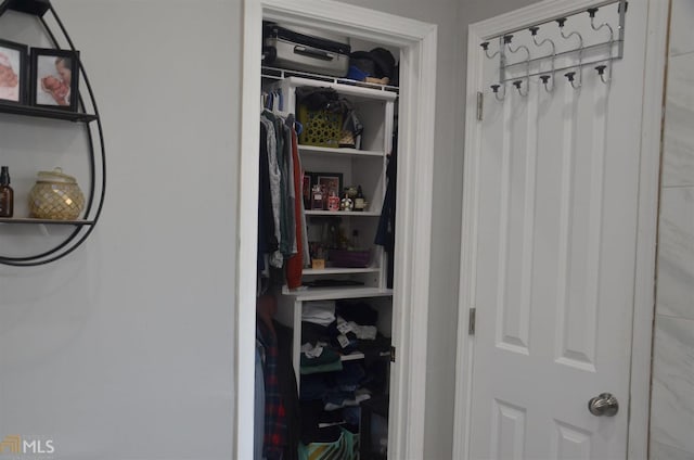 view of closet