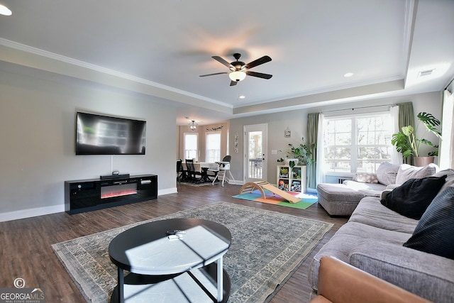 living room with dark hardwood / wood-style flooring, ornamental molding, and a raised ceiling