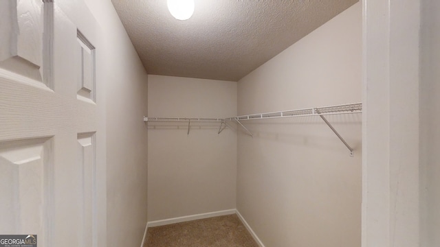 walk in closet featuring carpet floors