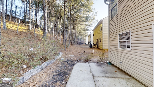 view of yard featuring a patio area