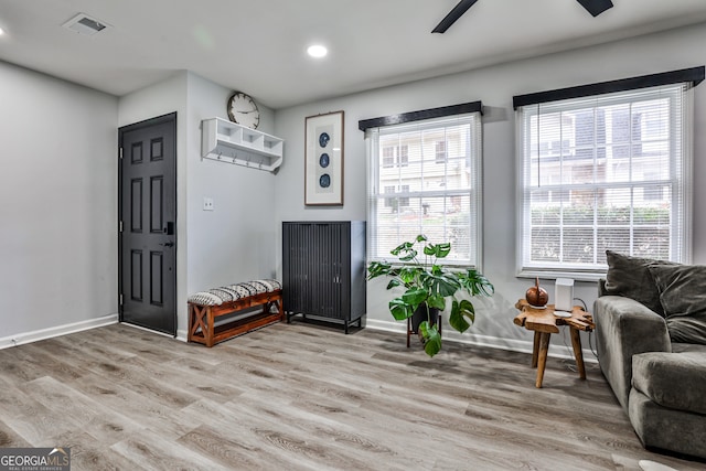 entrance foyer with light hardwood / wood-style flooring