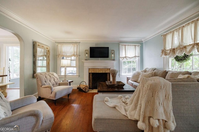 living room featuring ornamental molding and dark hardwood / wood-style flooring