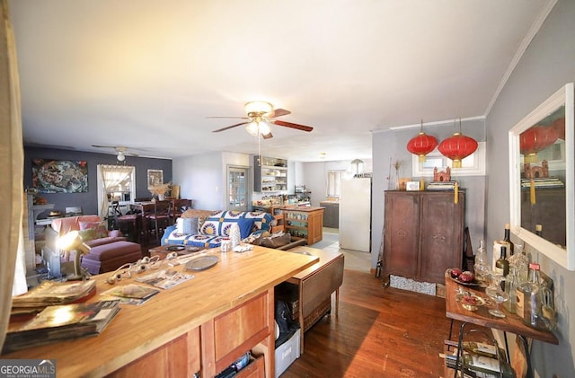 interior space with ceiling fan, a wealth of natural light, and dark hardwood / wood-style flooring