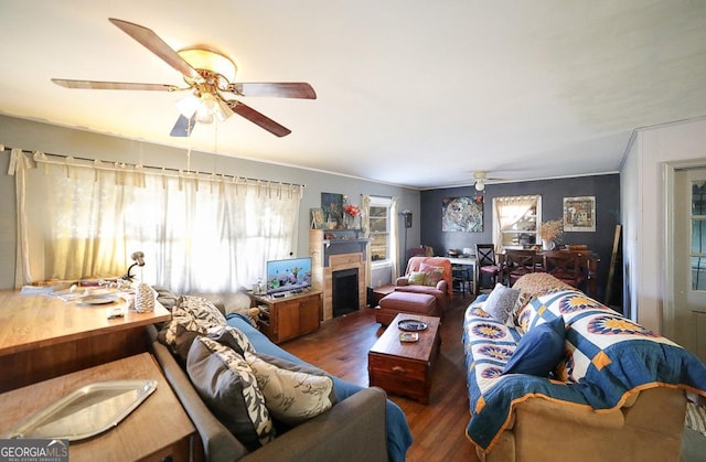 living room featuring ceiling fan and dark hardwood / wood-style floors