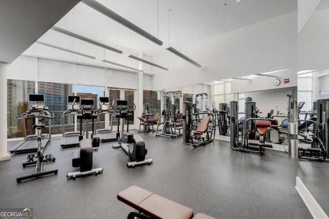exercise room featuring a high ceiling