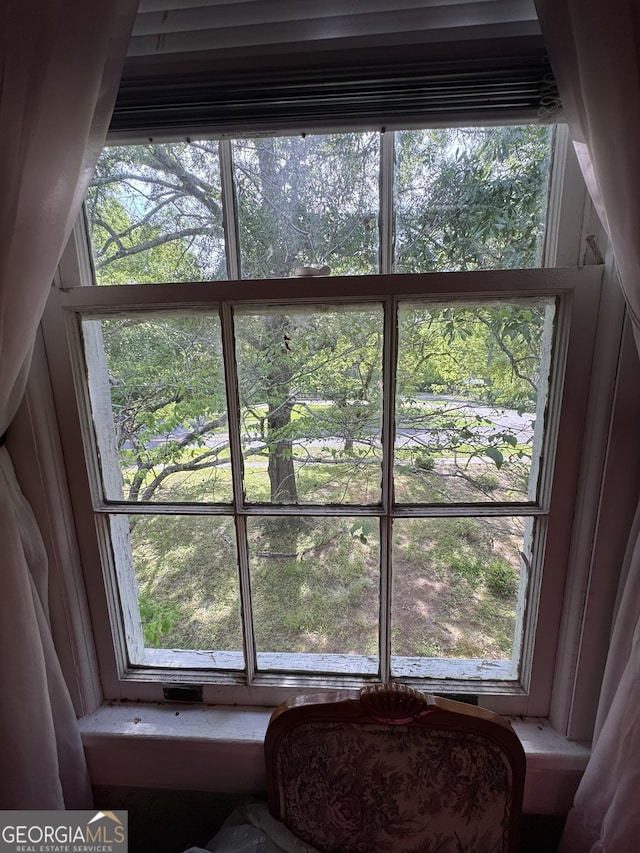 view of details