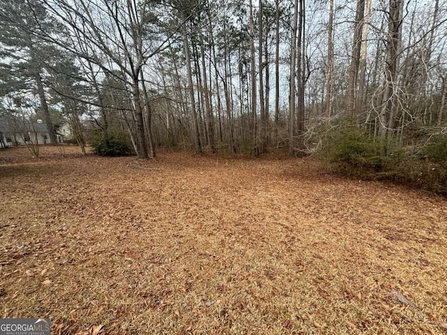 40 Brandon Dr, Covington, GA 30016 - view of yard