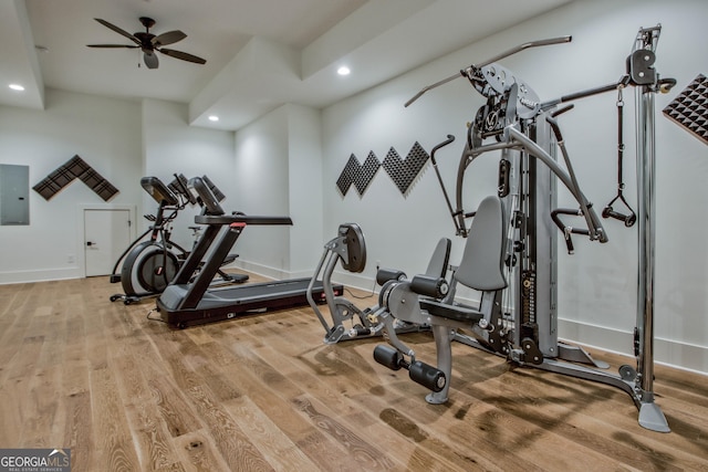 workout area featuring light hardwood / wood-style flooring, electric panel, and ceiling fan