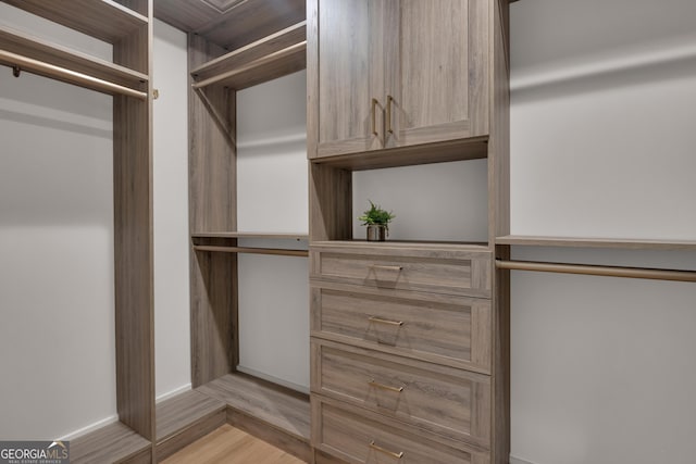 walk in closet with light hardwood / wood-style flooring