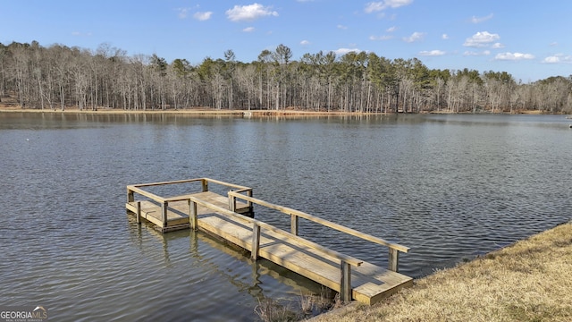 view of dock with a water view