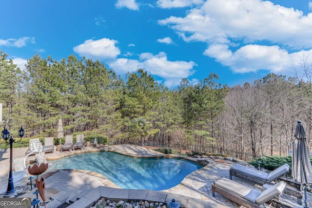 view of pool with a patio