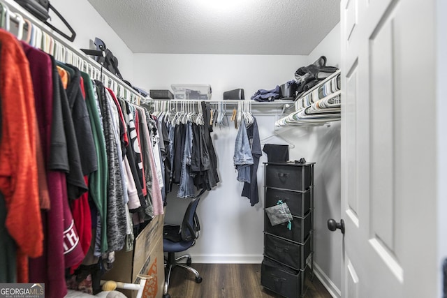 walk in closet with dark wood-type flooring