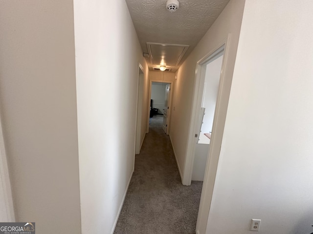 hallway with carpet floors and a textured ceiling