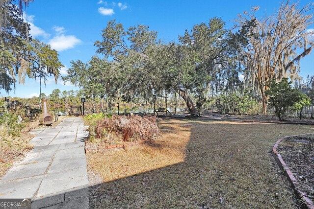64 Lake No No Rd, Midway, GA 31320 - view of yard