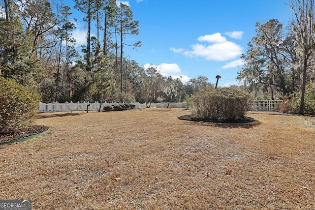 64 Lake No No Rd, Midway, GA 31320 - view of yard