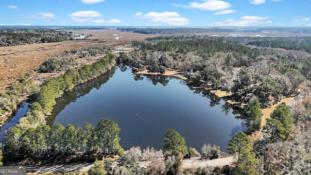 64 Lake No No Rd, Midway, GA 31320 - bird's eye view with a water view
