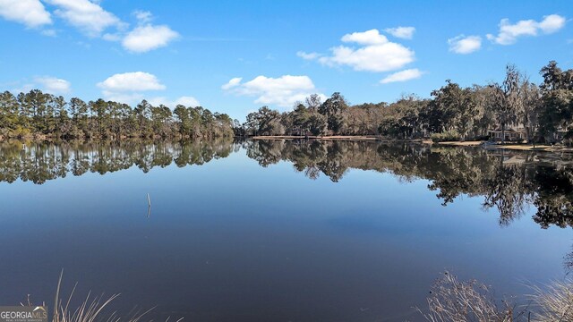 64 Lake No No Rd, Midway, GA 31320 - water view with a forest