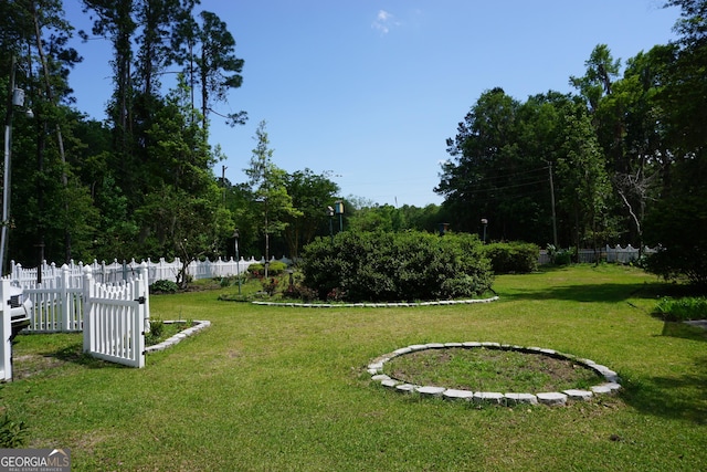 64 Lake No No Rd, Midway, GA 31320 - view of yard