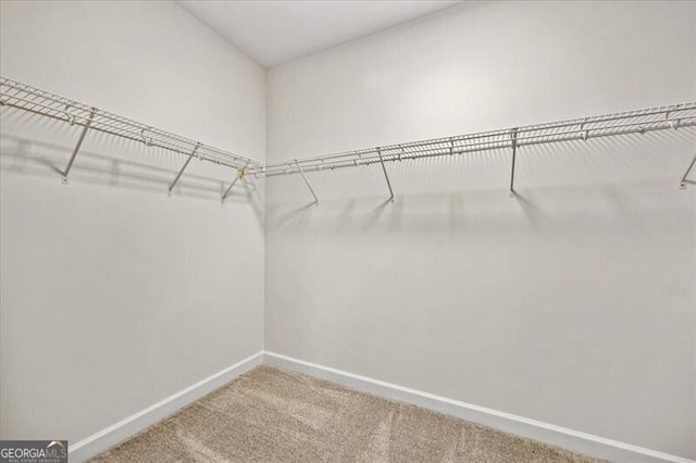 walk in closet with carpet floors