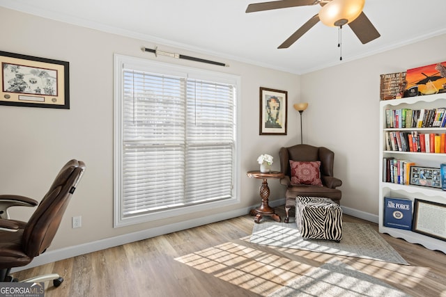 office featuring ornamental molding, ceiling fan, and light wood-type flooring