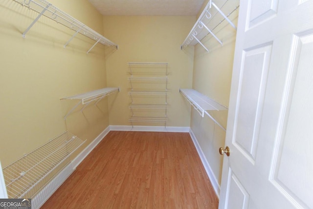 walk in closet with hardwood / wood-style floors